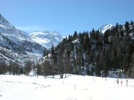 vista delle montagne delle Alpi del Piz Bernina in Svizzera foto