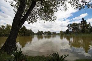 lago, natura, albero foto