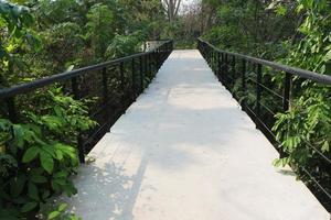 ponte in cemento con corrimano in metallo per passerella di studio sulla natura forestale. foto