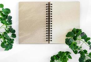 quaderno a spirale in carta kraft con foglie verdi come cornice foto