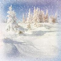 paesaggio invernale alberi innevati, sfondo bokeh con fiocco di neve