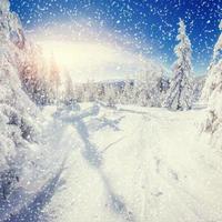 paesaggio invernale alberi innevati, sfondo bokeh con fiocco di neve foto