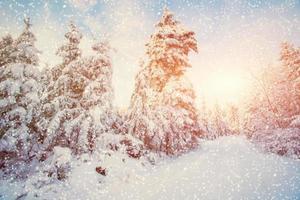 paesaggio invernale alberi innevati, sfondo bokeh con fiocco di neve foto