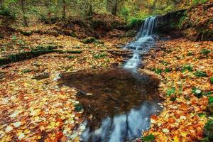 bella cascata nel paesaggio autunnale della foresta. mondo della bellezza foto