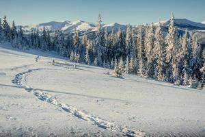 fantastico paesaggio invernale e sentieri battuti che portano nel foto