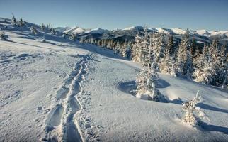 fantastico paesaggio invernale e sentieri battuti che portano nel foto