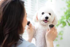 giovane donna asiatica che gioca con il cane a casa foto