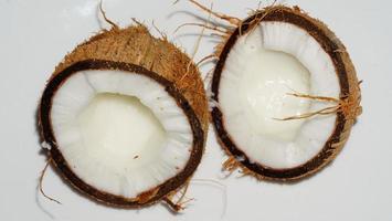 noci di cocco isolate su sfondo bianco foto
