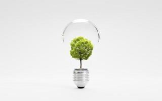 isolare di albero verde all'interno della lampadina su sfondo bianco per il risparmio energetico e il concetto di ambiente mediante rendering 3d. foto