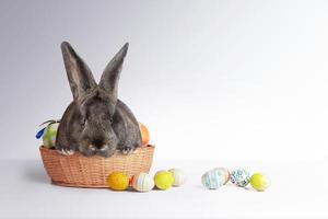 simpatico coniglietto pasquale. felice vacanza di pasqua concetto. foto