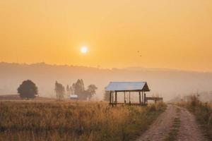 capanna del contadino nel campo di riso lungo la strada rurale all'alba.
