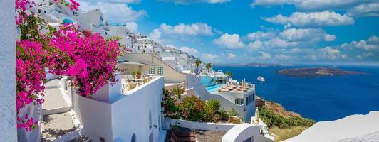 panorama delle vacanze estive, destinazione di lusso famosa in Europa. architettura bianca a santorini, in grecia. scenario di viaggio perfetto con fiori rosa e nave da crociera alla luce del sole e cielo blu. vista spettacolare foto