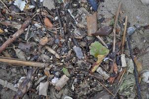 rifiuti sporchi di inquinamento sulla sabbia della spiaggia foto