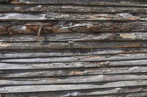 sfondo di tronchi di legno marrone foto