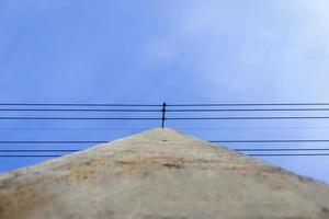 concetto di palo in cemento per il cablaggio elettrico. foto