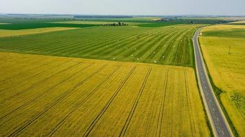 campi agricoli misti vista dall'alto fotografia aerea foto