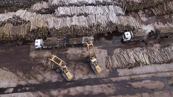 fotografia aerea con vista dall'alto dell'impresa di lavorazione del legno con drone foto