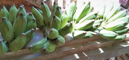 frutto di banana dal frutteto della Thailandia e luce del mattino foto