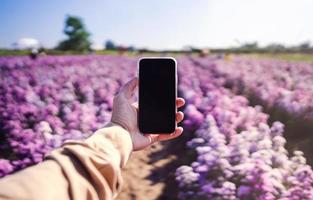 uomo viaggiatore che tiene smartphone nel campo dei fiori. foto