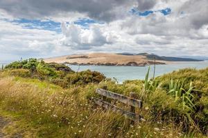 passeggiata costiera vicino alla riserva ricreativa di arai-te-uru a omapere in nuova zelanda foto