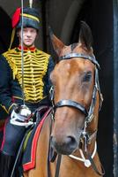 Londra, Regno Unito, 2017. Kings Troop Royal Horse Artillery in Whitehall Londra il 30 luglio 2017. uomo non identificato foto