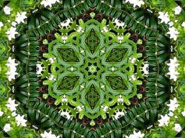 sfondo astratto in colore verde. caleidoscopio di foglie verdi. foto