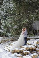 lo sposo conduce la sua sposa per mano a un vecchio faggio solitario. matrimonio invernale. posto per un logo. foto