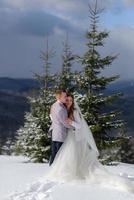 lo sposo conduce la sua sposa per mano a un vecchio faggio solitario. matrimonio invernale. posto per un logo. foto