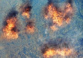 Gli incendi boschivi amazzonici si sono diffusi a un ritmo allarmante in Brasile foto