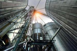 silos agricoli in ontario, canada foto