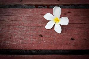 fiore di plumeria su pavimenti in legno foto