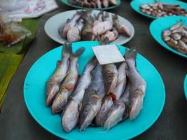 pesci gatto nudi in vendita nel mercato locale foto