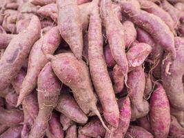 mucchio di patate dolci viola fresche nel mercato foto