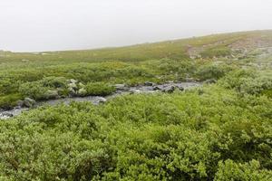 cascata hydnefossen e fiume hydna, montagna veslehodn veslehorn, hemsedal, norvegia. foto