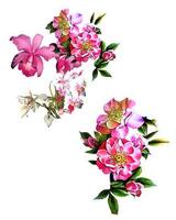fiori modello disegno floreale senza giunte botanico tropicale sfondo foto