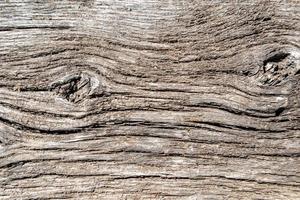 bella frattura di legno vecchia quercia, struttura naturale da vicino foto