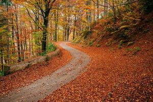 fantastico paesaggio autunnale foto