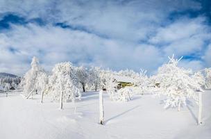 paesaggio invernale in montagna foto