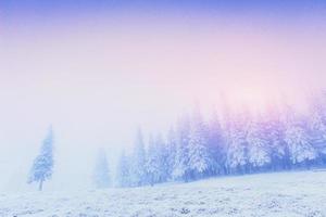 fantastica nebbia in montagna foto