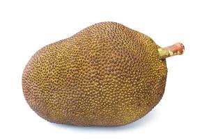 jackfruit isolato su uno sfondo bianco. foto