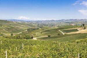 campagna panoramica in regione piemonte, italia. collina panoramica dei vigneti vicino alla città di barolo. foto