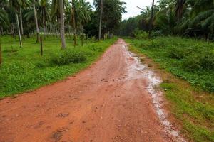 strada di fango dopo la pioggia in Thailandia foto