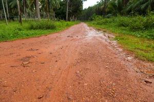 strada di fango dopo la pioggia in Thailandia foto