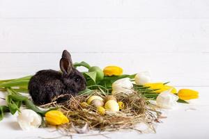 coniglietto pasquale con uova di pasqua con tulipani e un nido di fieno. composizione positiva di primavera e Pasqua. foto