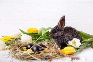 coniglietto pasquale con uova di pasqua con tulipani e un nido di fieno. composizione positiva di primavera e Pasqua. foto