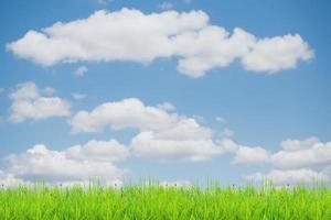 campo in erba e cielo con nuvole luminose per lo sfondo del progetto. foto