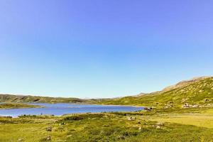 lago vavatn e montagne in estate a hemsedal, buskerud, norvegia. foto