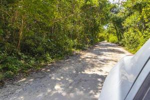 guida su strada di ghiaia nella giungla di tulum natura messico. foto