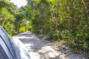 guida su strada di ghiaia nella giungla di tulum natura messico. foto