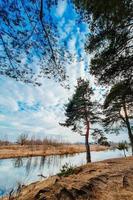 natura settentrionale all'inizio della primavera. pini sulla riva del fiume. ecoturismo, paesaggio calmo. il cielo blu si riflette nell'acqua. foto